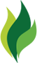 Green Flame Gas